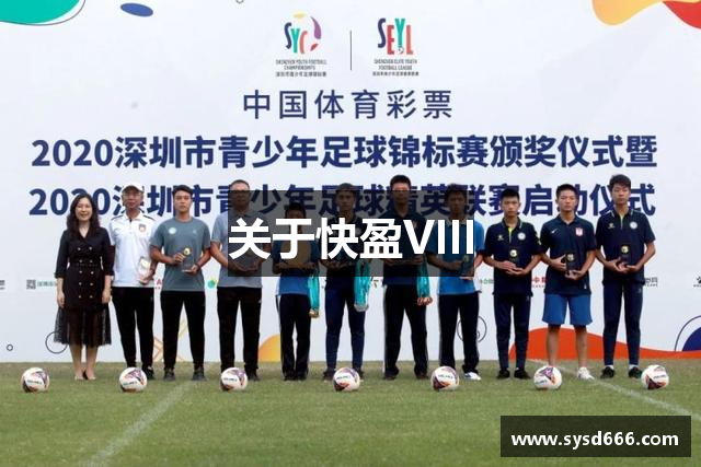 关于快盈VIII